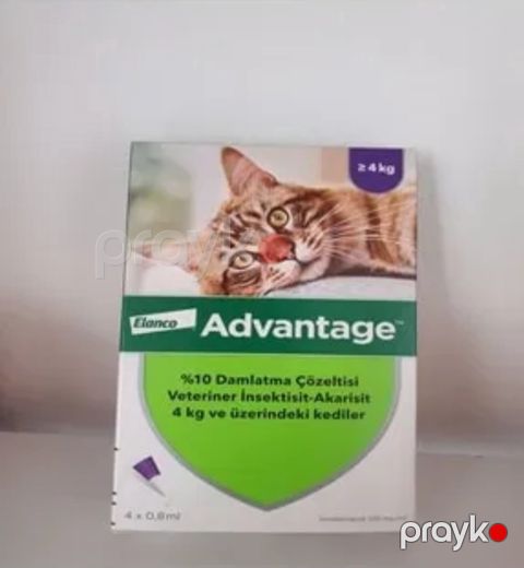 Birə dərmanı Advanayage Elanco 4 kq-dan yuxarı pişiklər üçün, qiymət 1 ədəd üçündür
