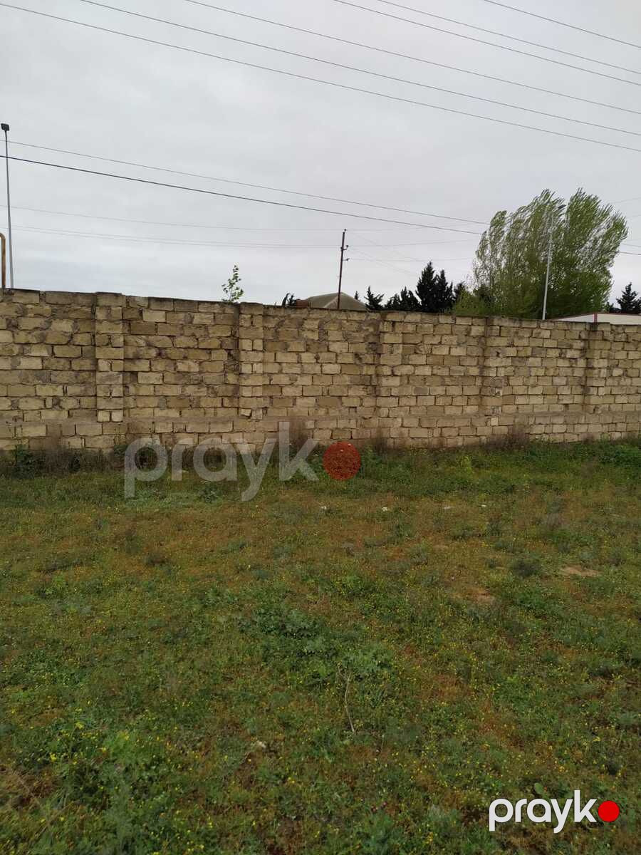 Satılır torpaq 32 sot — Torpaq, Bakı (3)