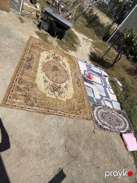 Xalçalar — Sumqayıt