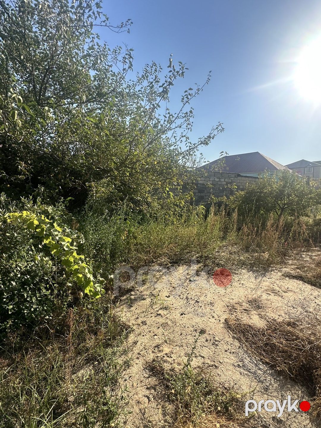Satılır torpaq 3 sot — Torpaq, Bakı (4)
