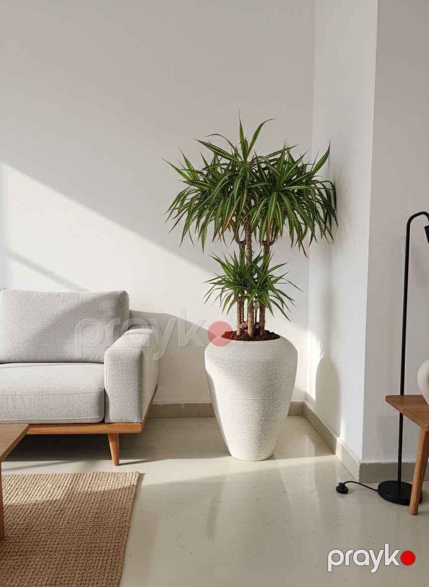 Dekorativ dibçək, fiberglass, açıq boz, 68x50x25 sm — Mallar, Bakı (3)