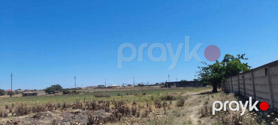 Satılır torpaq 12 sot — Torpaq, Bakı (5)