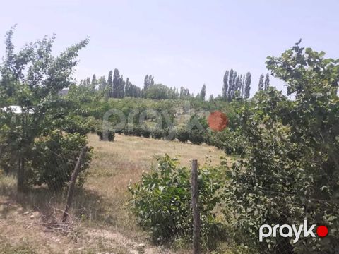 12 sot torpaq sahəsi, Yasab k — Qusar