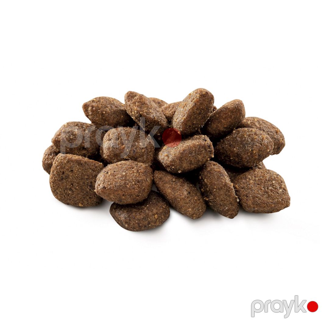 Quru yem Brit Premium by Nature Sensitive Lamb 15 kq — Mallar, Bakı (2)