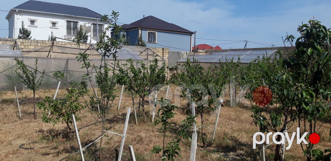 Satılır torpaq 4 sot — Torpaq, Bakı (3)