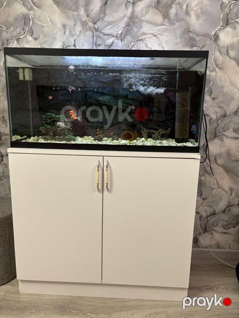 satılır 250 azn En 90 sm Hündürlük 45 sm İç dərinlik 37 sm — Bakı