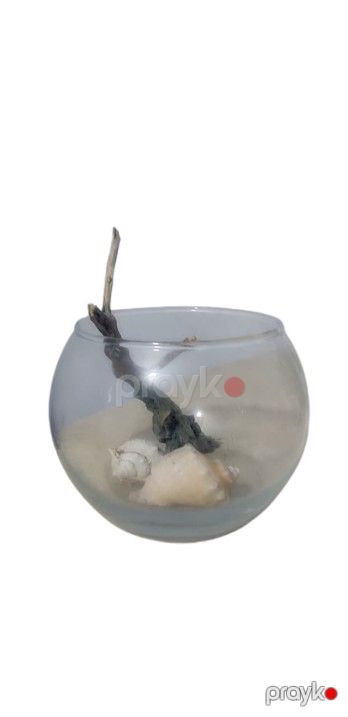 Akvarium 000020_00001, şəffaf — Bakı