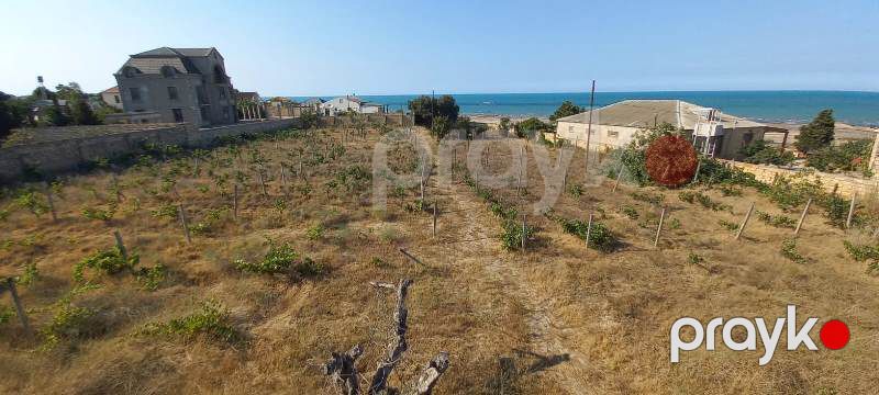 Satılır torpaq 27 sot — Torpaq, Bakı (2)