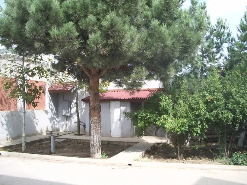 Mərdəkan, 8 otaqlı Villa satılır - 400 m², 3 mərtəbə, 12 sot — Ev, villa, Bakı (2)