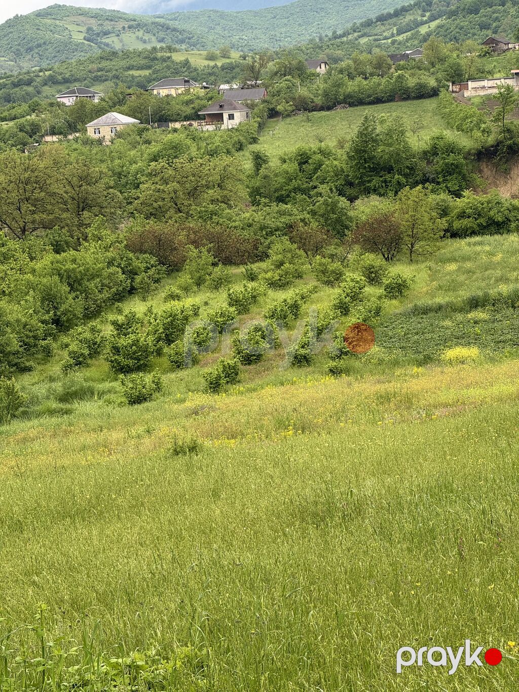 80 sot, Kənd təsərrüfatı, Mülkiyyətçi, Kupça (Çıxarış), Bələdiyyə — Torpaq, Quba (4)
