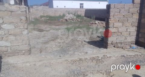 3 sot torpaq sahəsi icarəyə verilir, Albalılıq qəs — Bakı