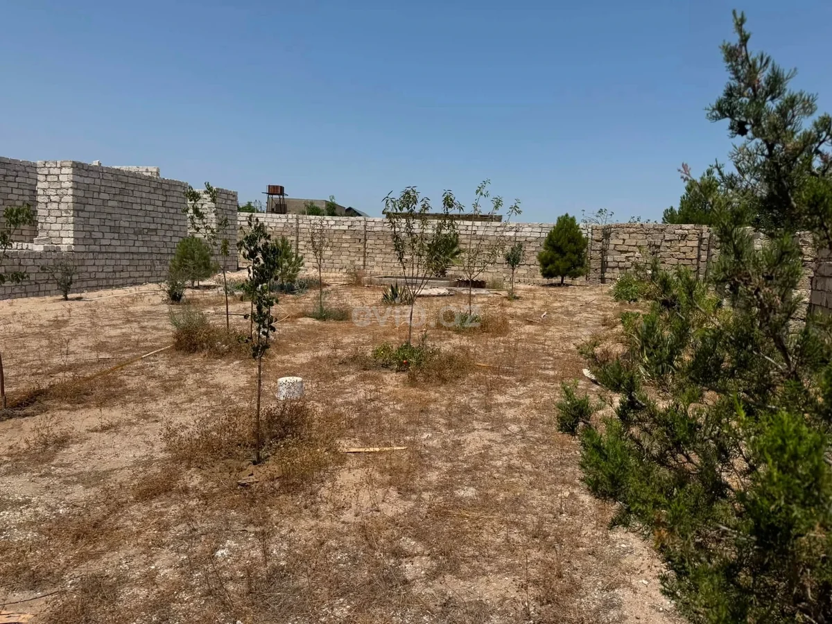 3 otaqlı bağ evi satılır Türkan qəsəbəsində — Ev, villa, Bakı (6)