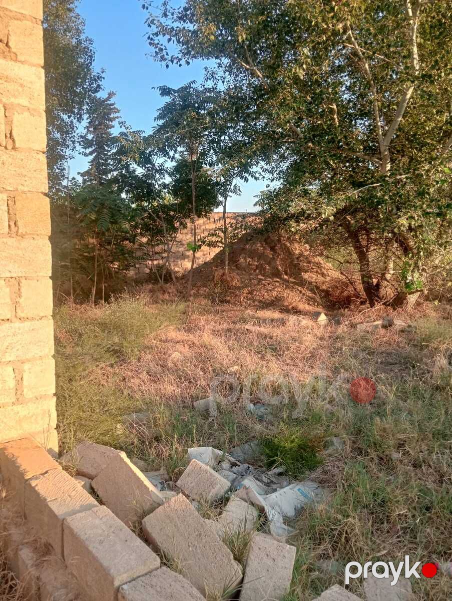Satılır torpaq 12 sot — Torpaq, Bakı (9)
