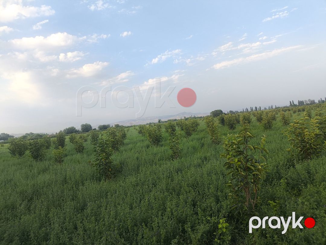 Satılır torpaq 260 sot — Torpaq, Ağdaş (2)