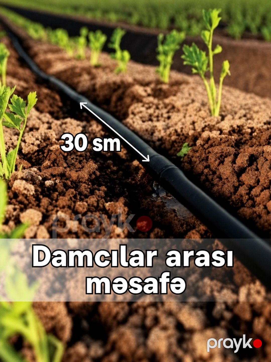 Damcı suvarma borusu, 16/30 sm, 2 litr, 400 m — Mallar, Bakı (3)