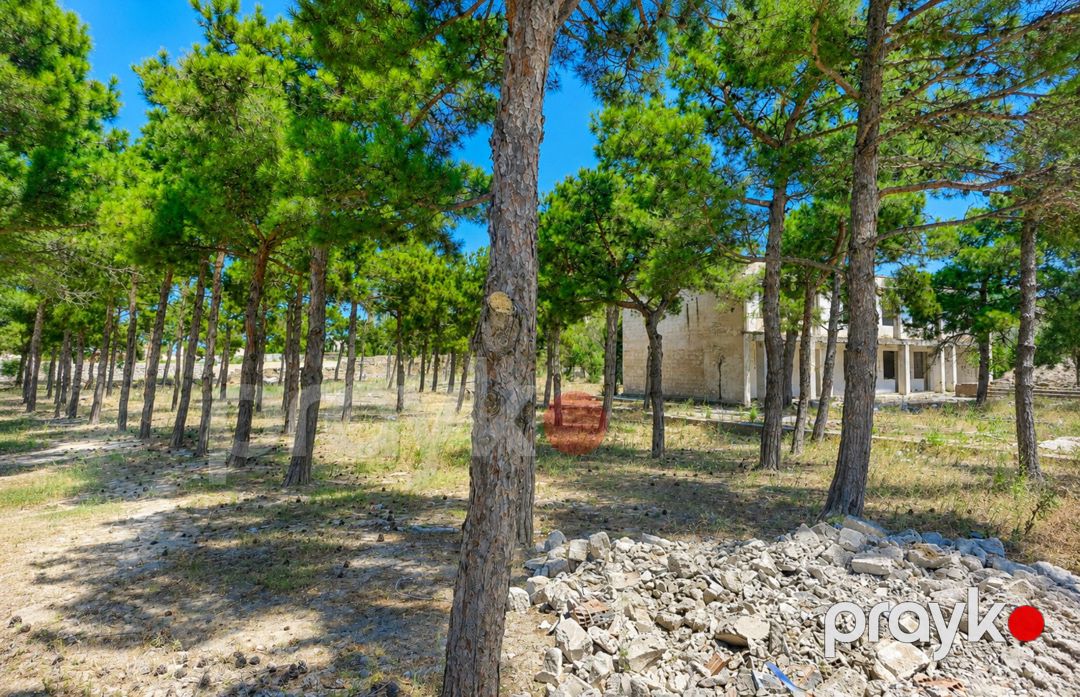 Satılır torpaq 126 sot — Torpaq, Bakı (2)