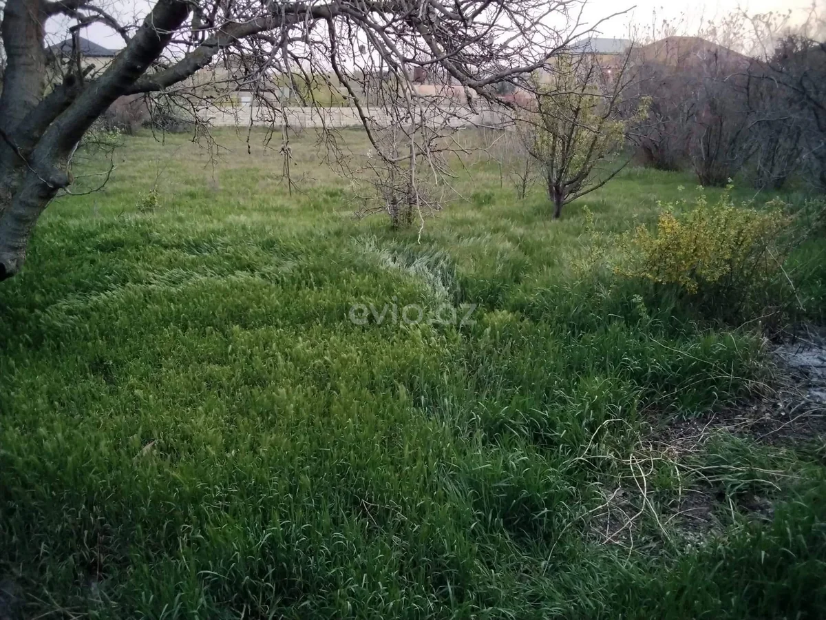 Torpaq sahəsi satılır Novxanıda — Torpaq, Abşeron (4)