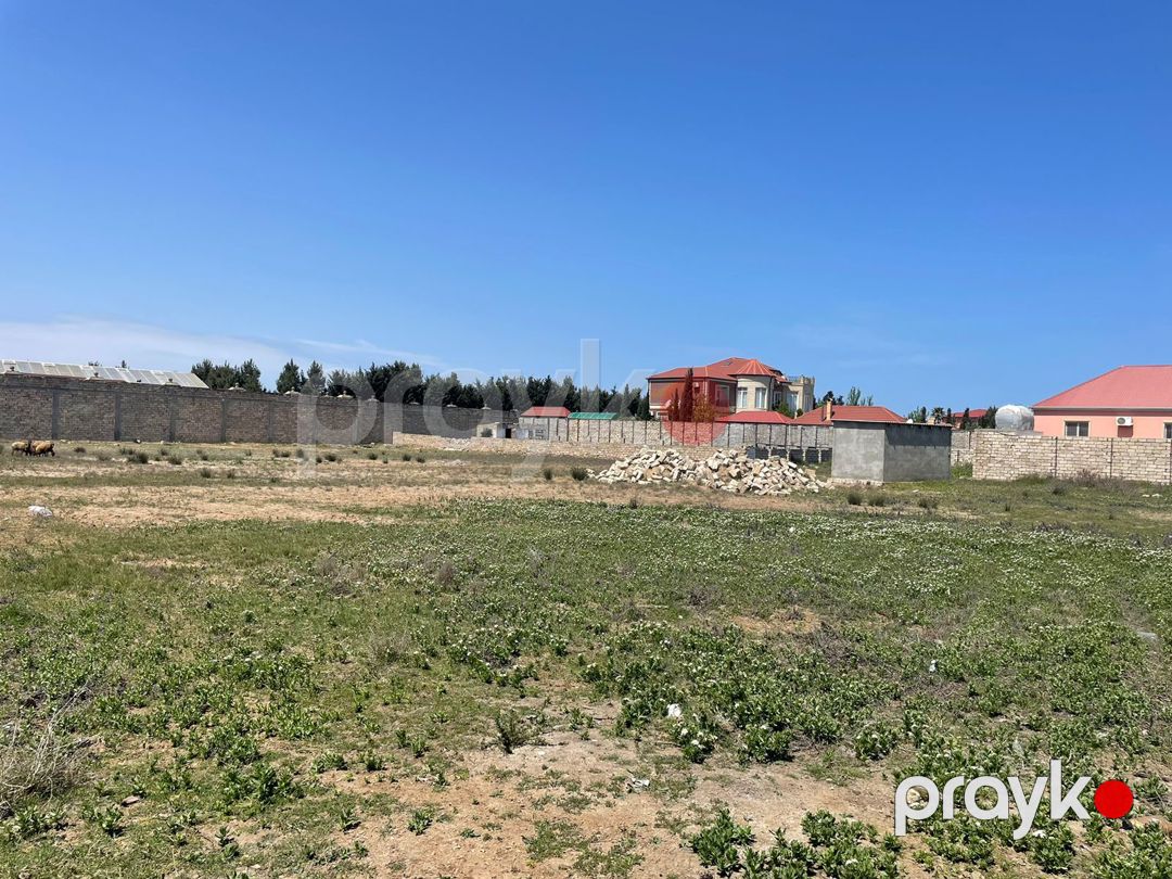 Satılır torpaq 50 sot — Torpaq, Bakı (3)