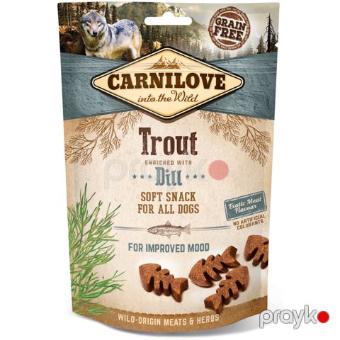 Bütün itlər üçün forel balıqlı qəlyanaltı Carnilove, 100 q — Bakı