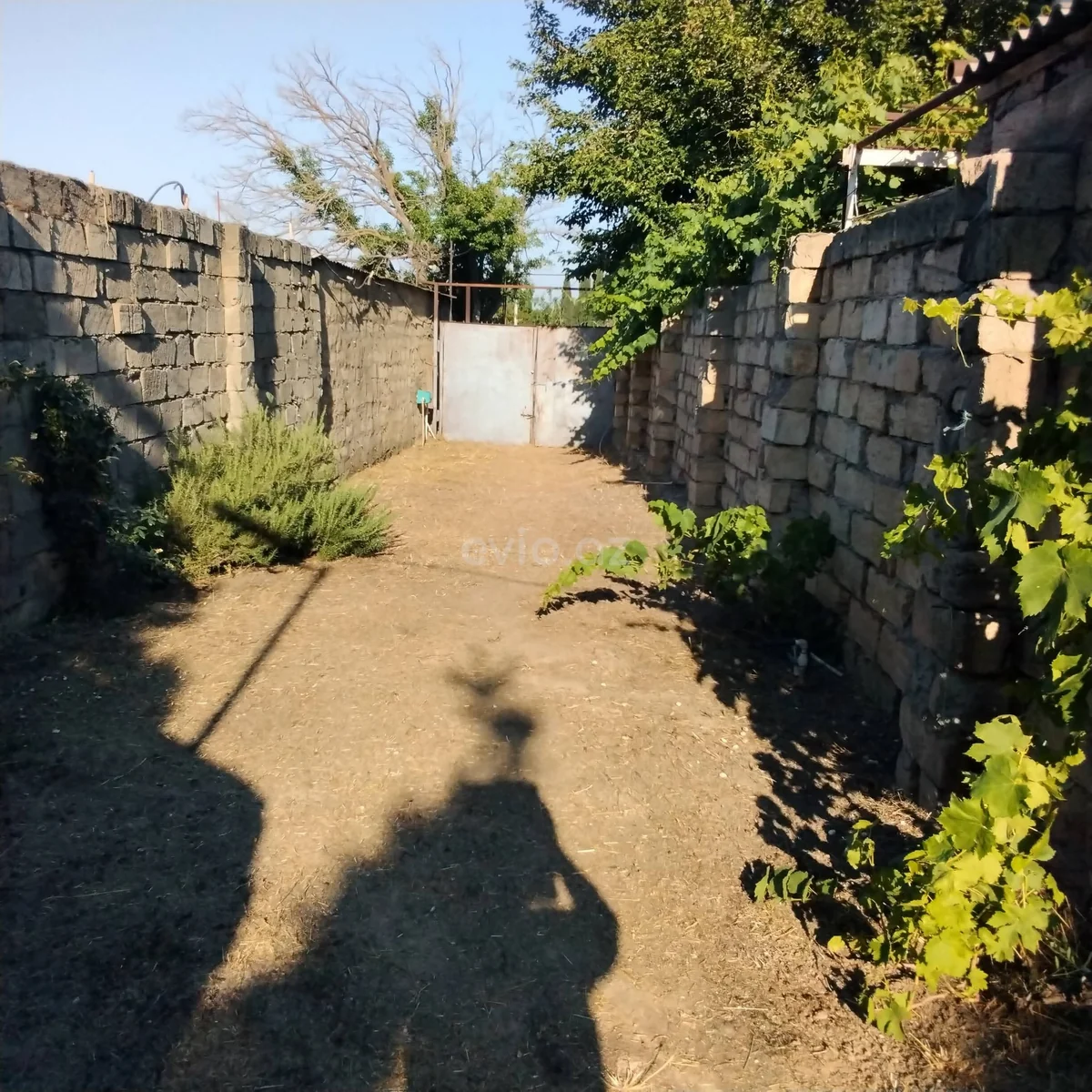 Torpaq sahəsi satılır Novxanıda — Torpaq, Abşeron (5)
