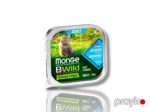 Nəm yem Monge Cat Adult Bwild Pate Terrine Anchovies 100 qr — Bakı