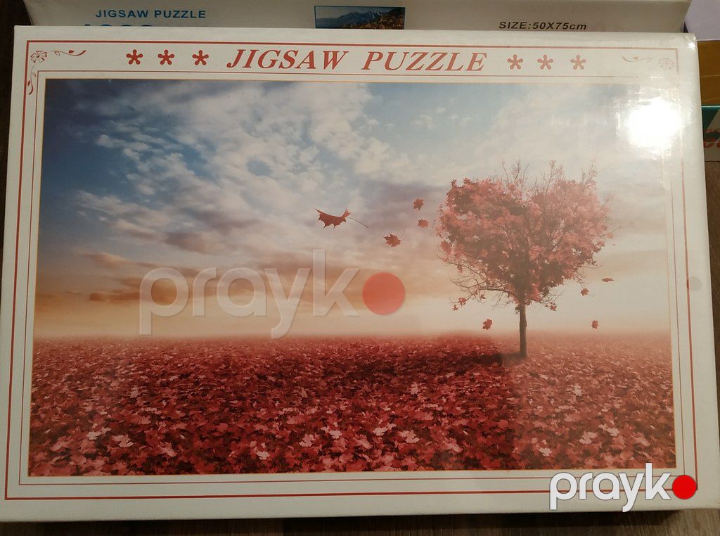 Puzzle — İdman, hobi, istirahət, Bakı (8)