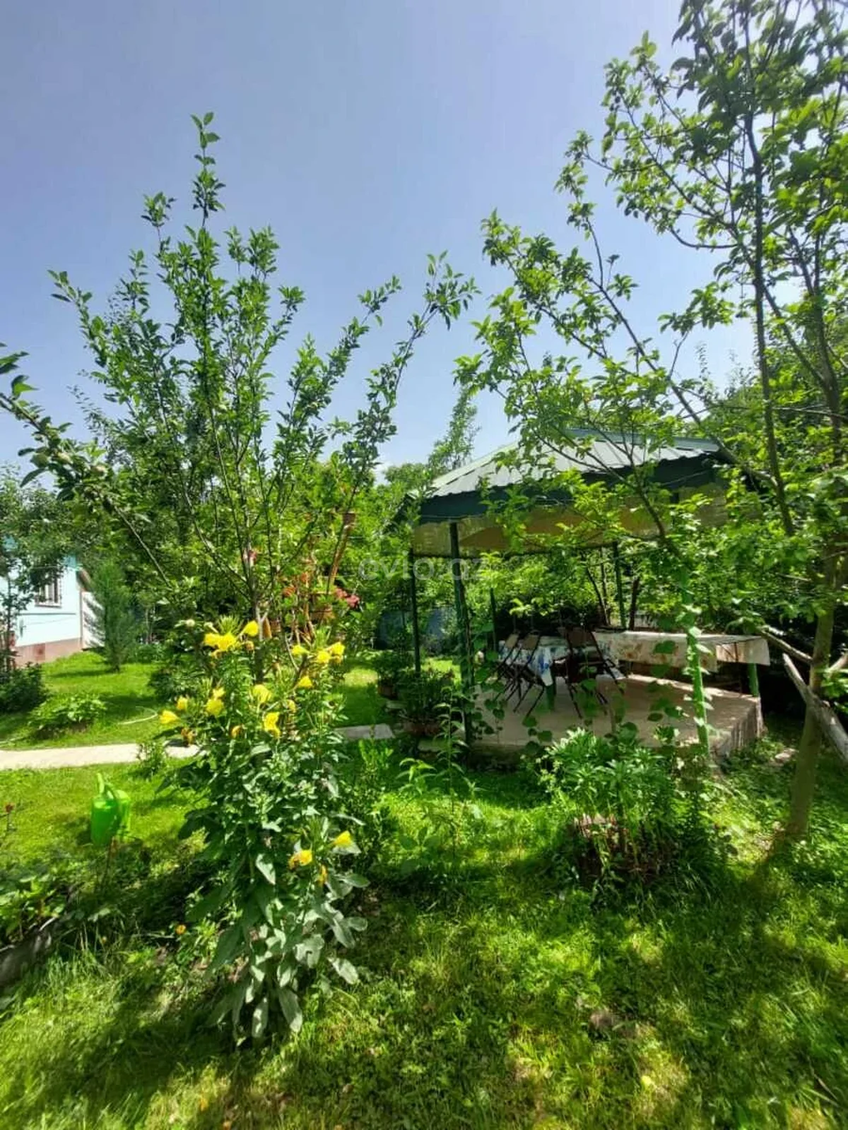 Kirayə 2 otaqlı bağ evi Qəbələdə — Ev, villa, Qəbələ (2)