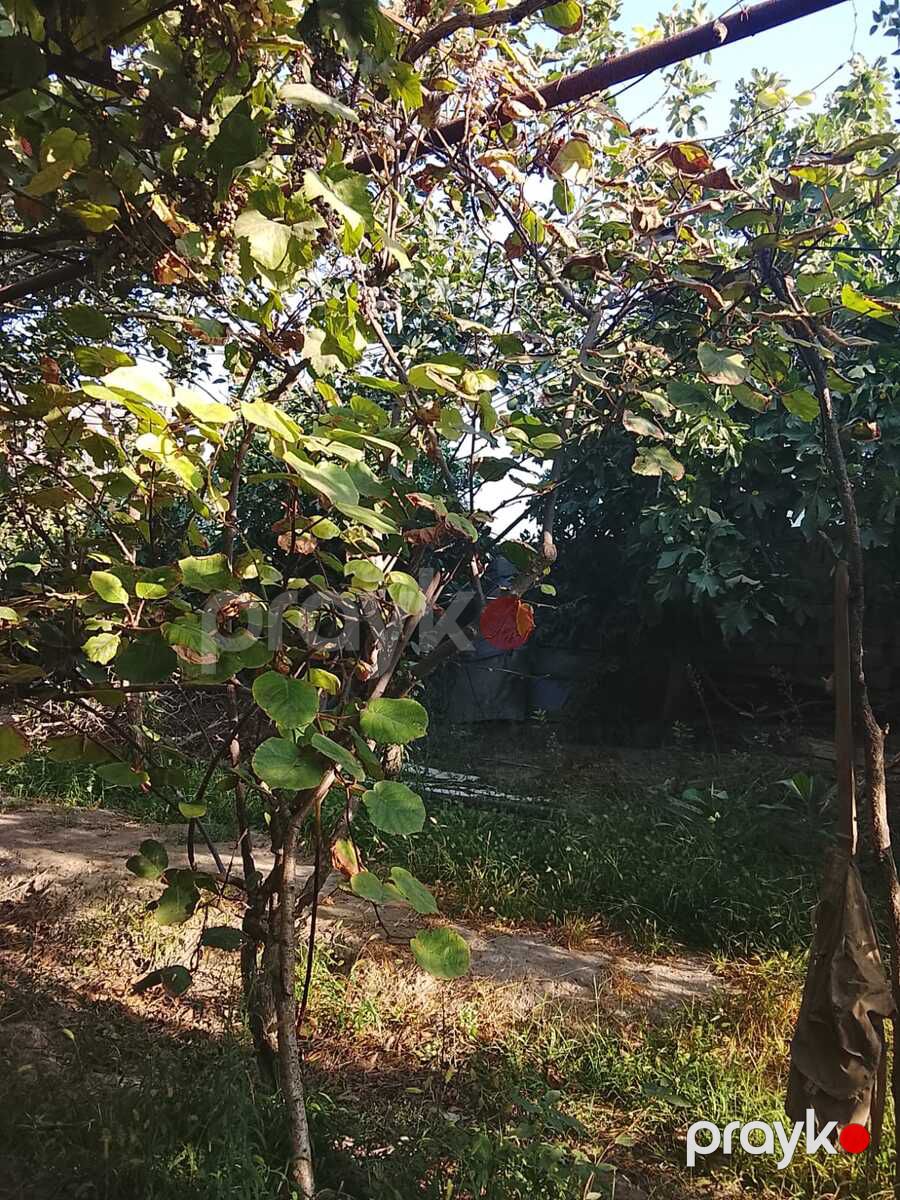 Həyət evi, Maştağa qəs — Ev, villa, Bakı (3)