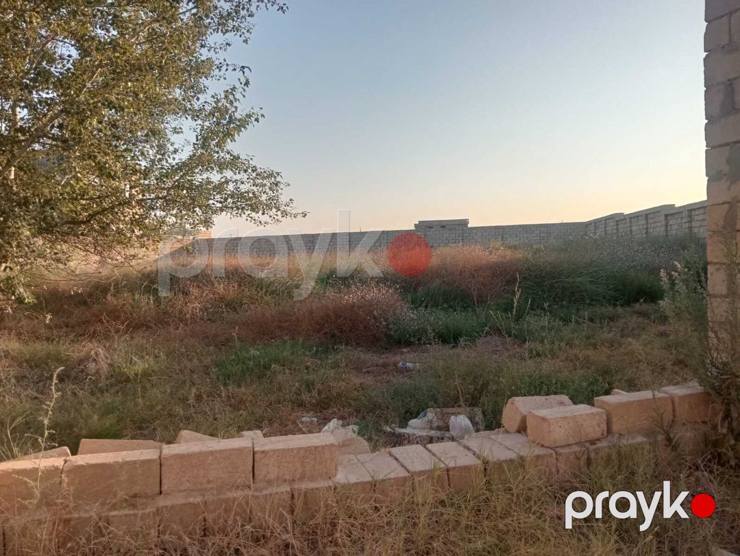 Satılır torpaq 12 sot — Torpaq, Bakı (2)
