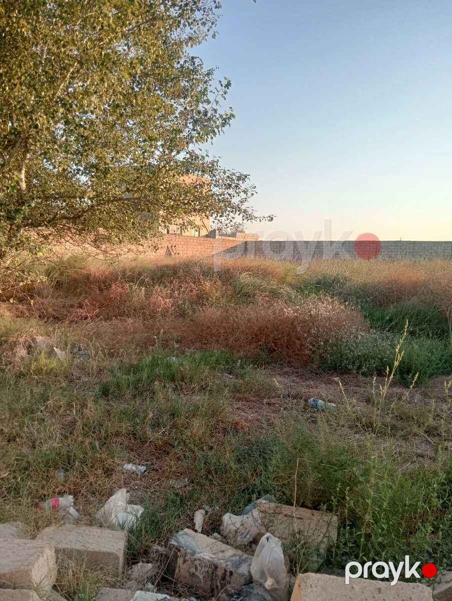 Satılır torpaq 12 sot — Torpaq, Bakı (3)