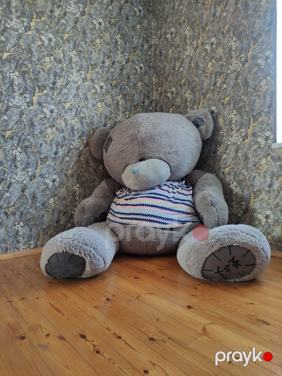 Teddy oyuncaq ayı — Oyuncaqlar, Sumqayıt (2)