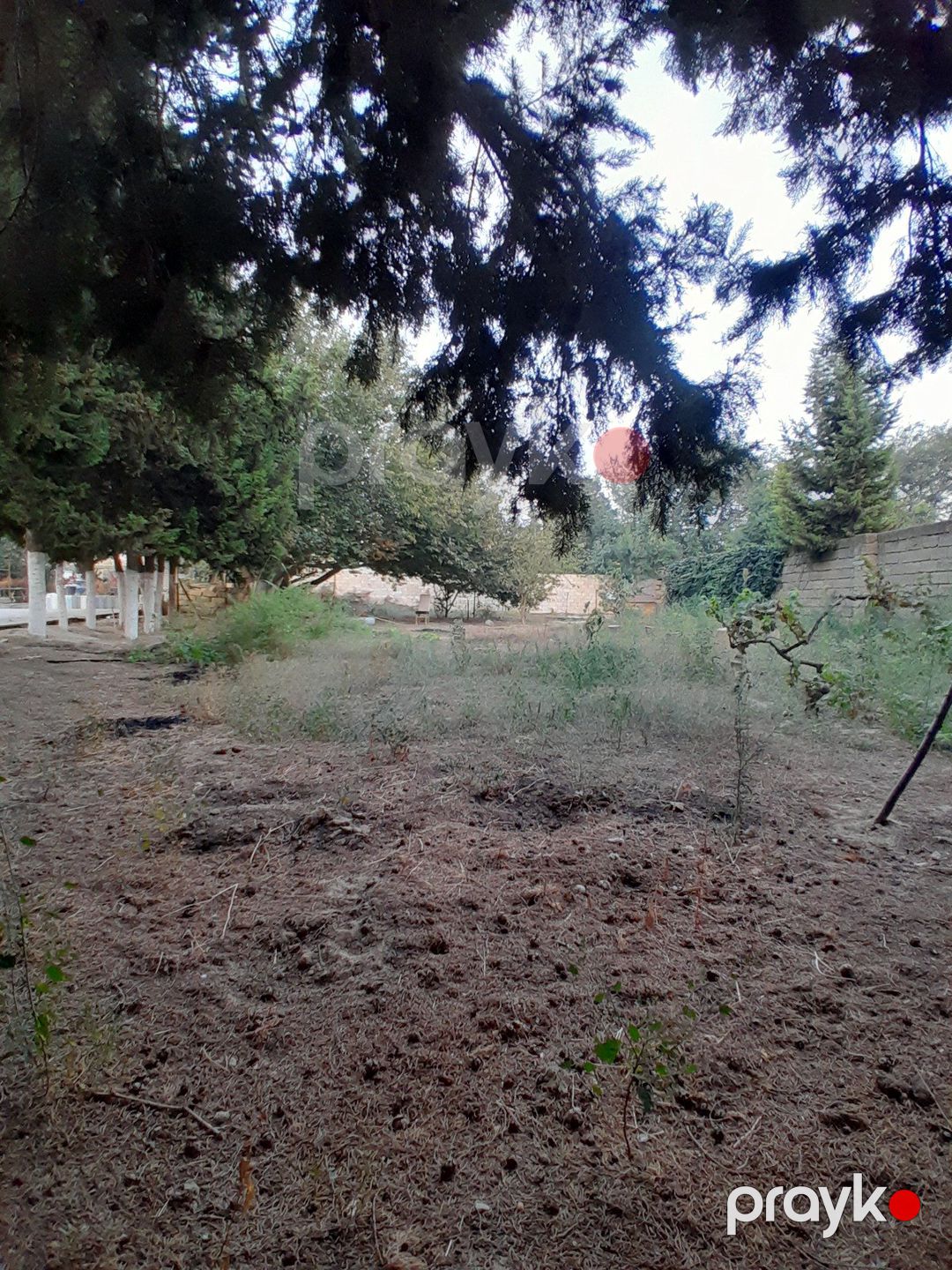 Satılır 4 otaqlı həyət evi/bağ evi 200 m² — Ev, villa, Bakı (3)