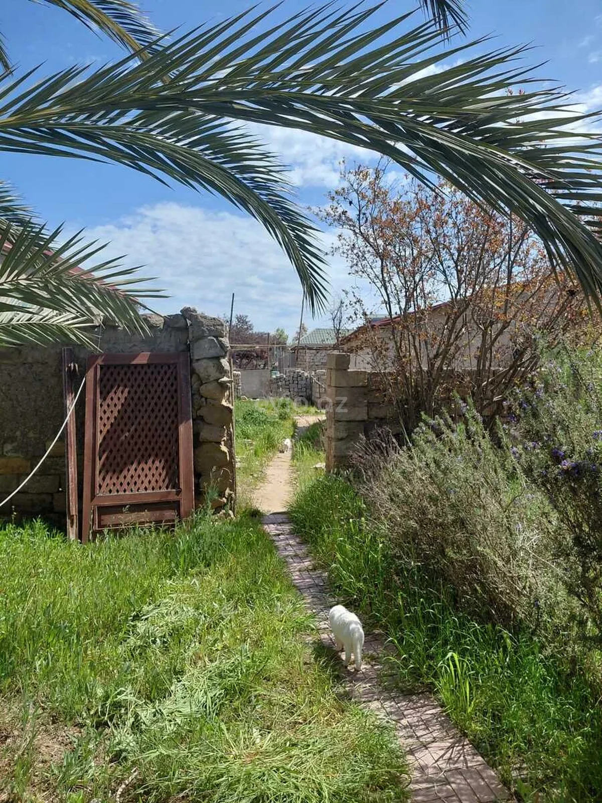 Torpaq sahəsi satılır Şağan qəsəbəsində — Torpaq, Bakı (9)