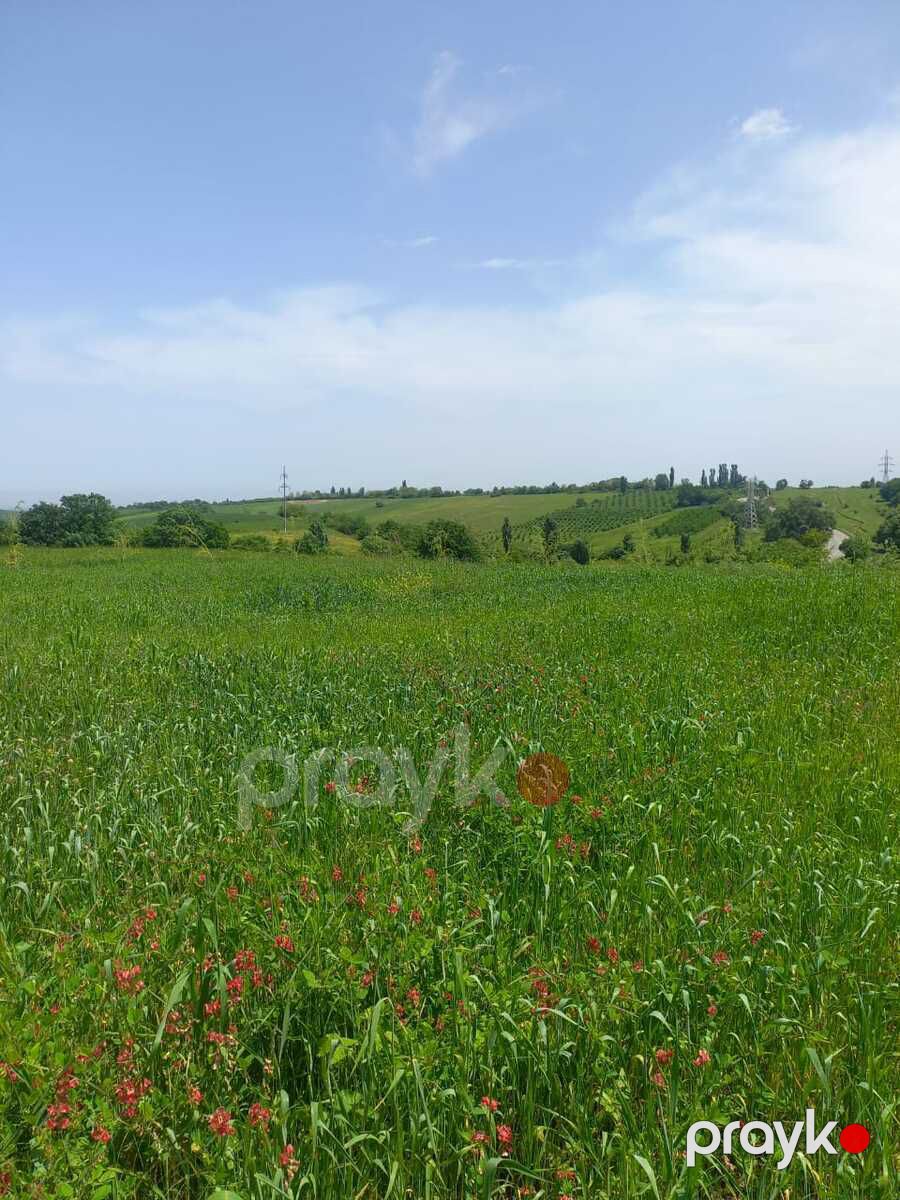 Satılır torpaq 80 sot — Torpaq, Quba (3)