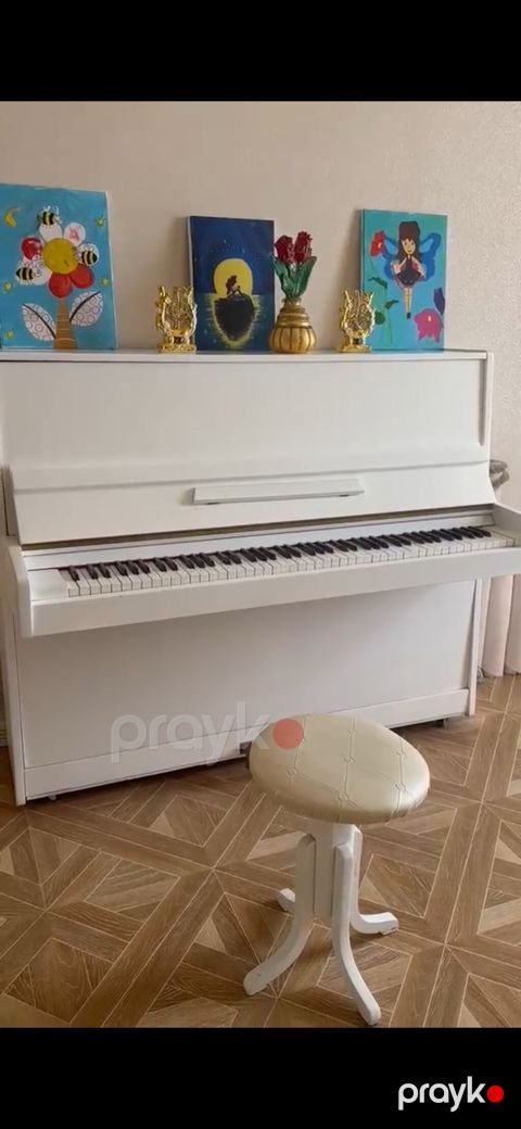 Piano Belarus Yeni Satılır 350₼ Alınıb istifadə olunmayıb 3 pedallı — Bakı
