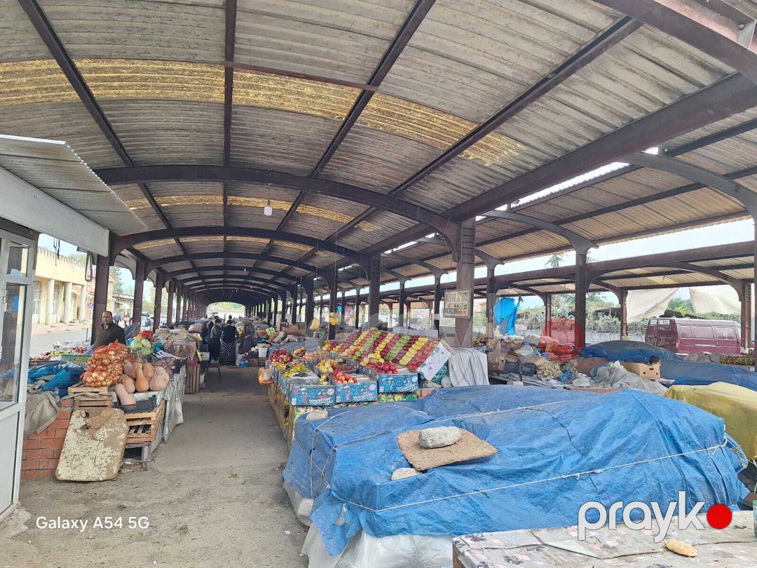 Satılır torpaq 24 sot — Torpaq, Masallı (5)