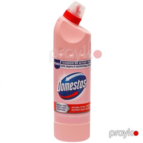 Tualet üçün vasitə Domestos Active Fresh 750 ml — Bakı