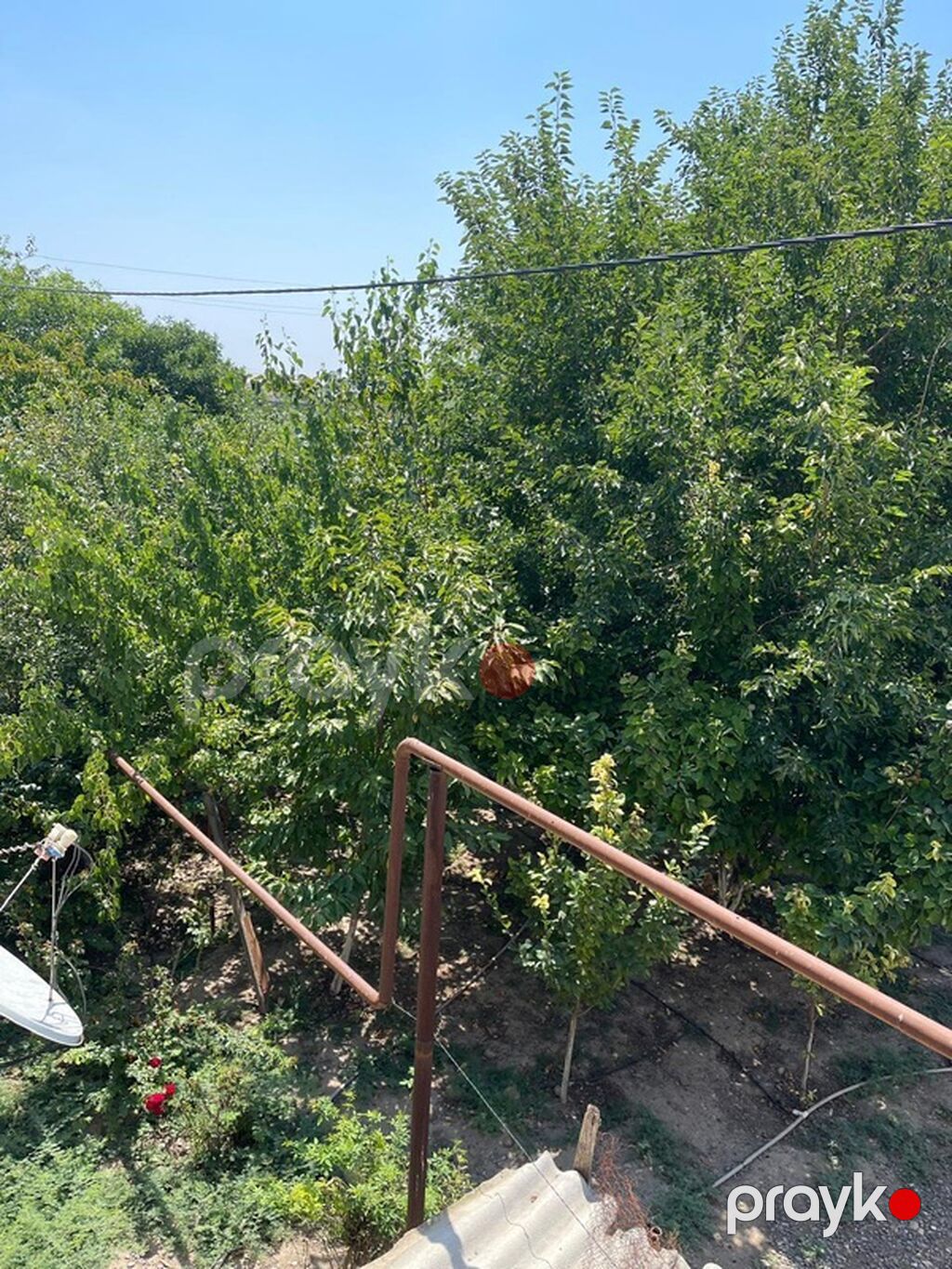 Ev satilir oz evimdir her bir şeraiti var İmişli rayonunda yerleşir — Mənzil, Masazır (9)