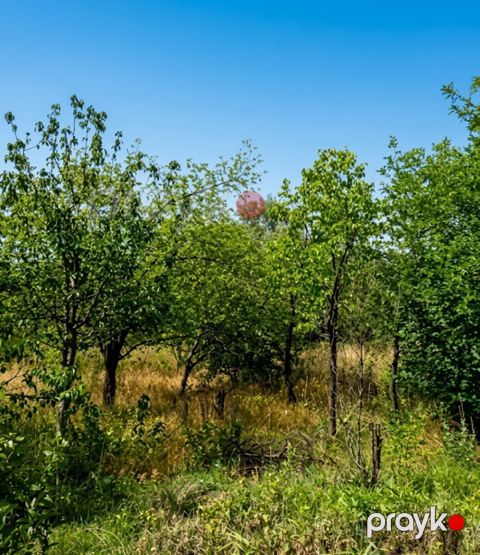 Satılır torpaq 23 sot — Naxçıvan