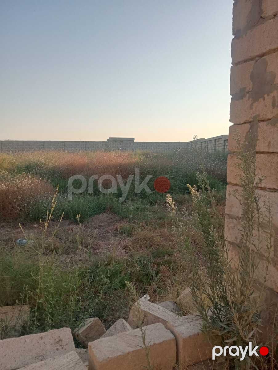 Satılır torpaq 12 sot — Torpaq, Bakı (5)