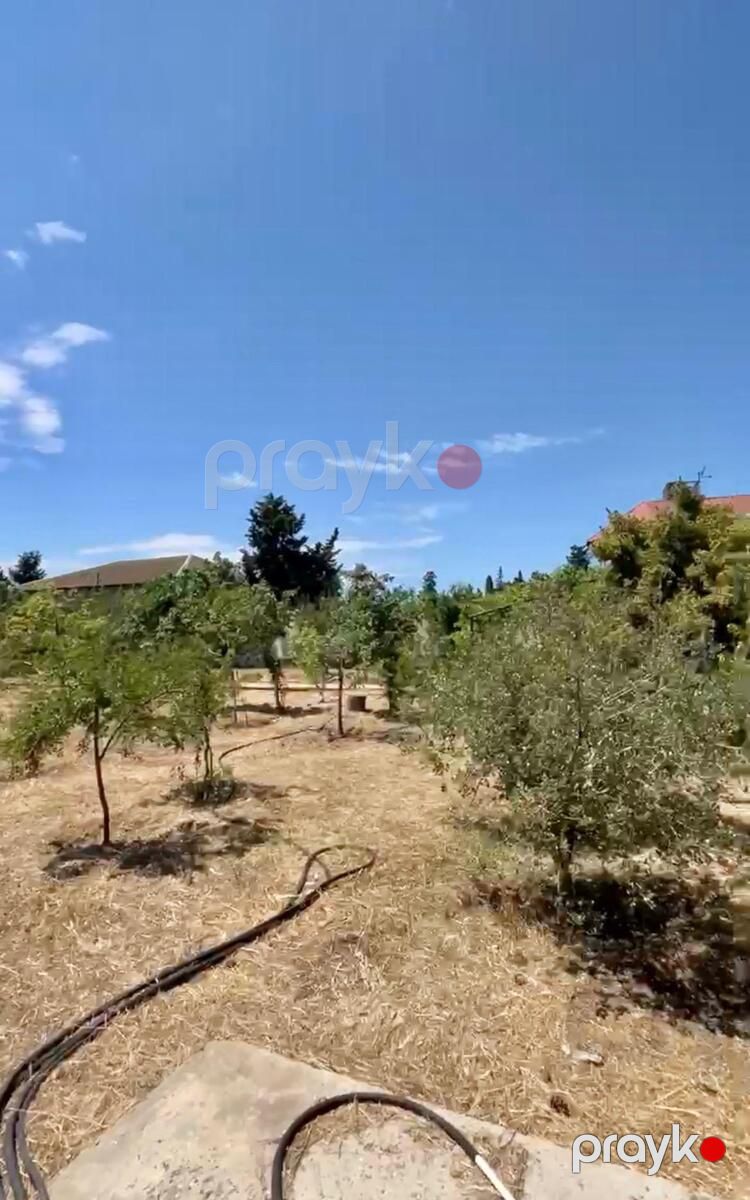 Satılır torpaq 22 sot — Torpaq, Bakı (11)