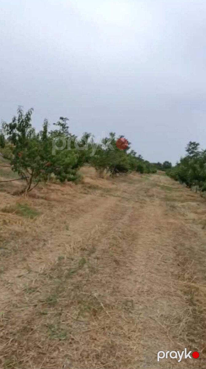Satılır torpaq 127 sot — Torpaq, Xaçmaz (5)