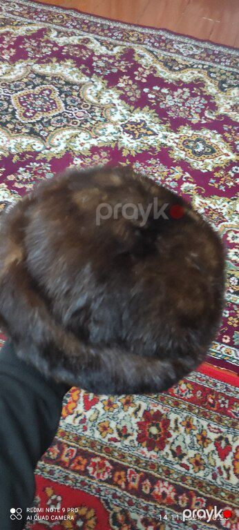 Papaq — Geyim, ayakkabı, aksesuarlar, Gəncə (4)