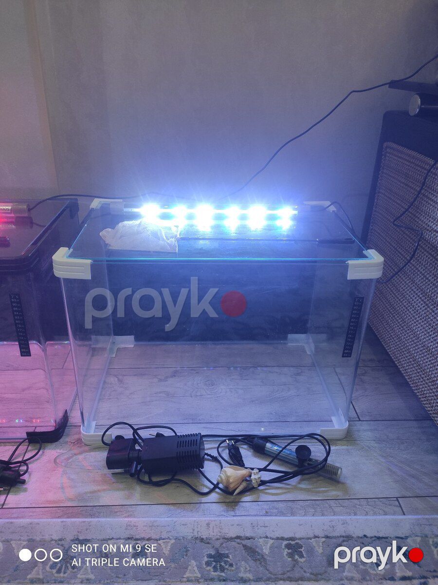 Akvariumlar — Akvariumlar və balıqlar, Bakı (3)