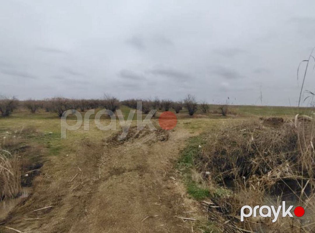 Satılır torpaq 4630.1 sot — Torpaq, Biləsuvar (5)