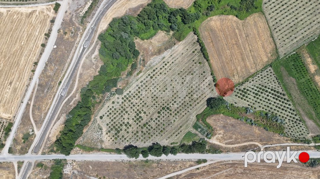 600 sot torpaq sahəsi, Qusar r — Torpaq, Qusar (3)