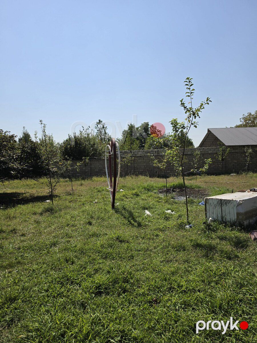12 sot torpaq sahəsi, Vəndam qəs — Torpaq, Qəbələ (8)