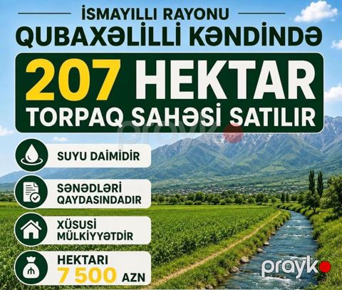 İsmayıllı rayonu Qubaxəlilli kəndində 207 hektar torpaq sahəsi satılır — İsmayıllı