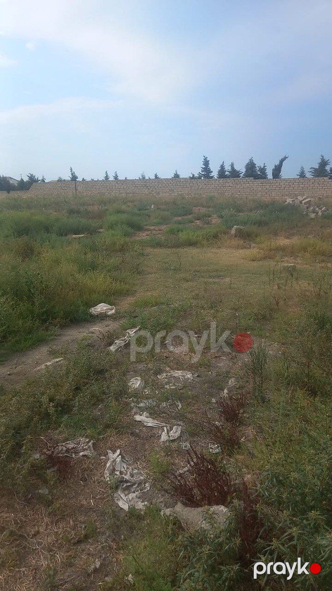 Satılır torpaq 23 sot — Torpaq, Bakı (4)