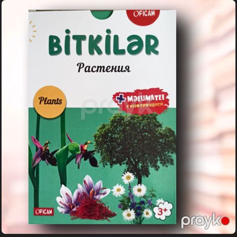 Öyrədici kartlar-rəngləmələr Ofıcam Bitkilər, 3+ yaş — Bakı